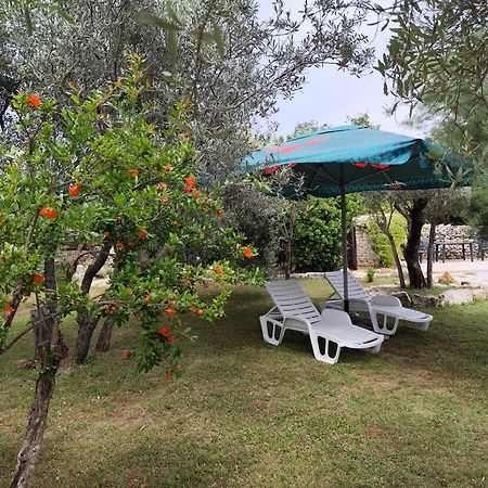 Marti'S House In The Olive Grove Fažana Exterior foto