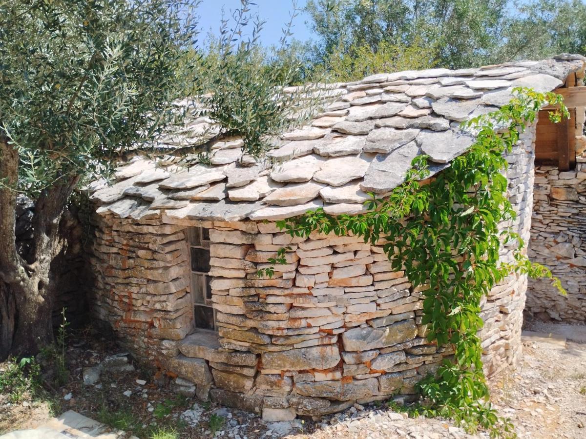 Marti'S House In The Olive Grove Fažana Exterior foto
