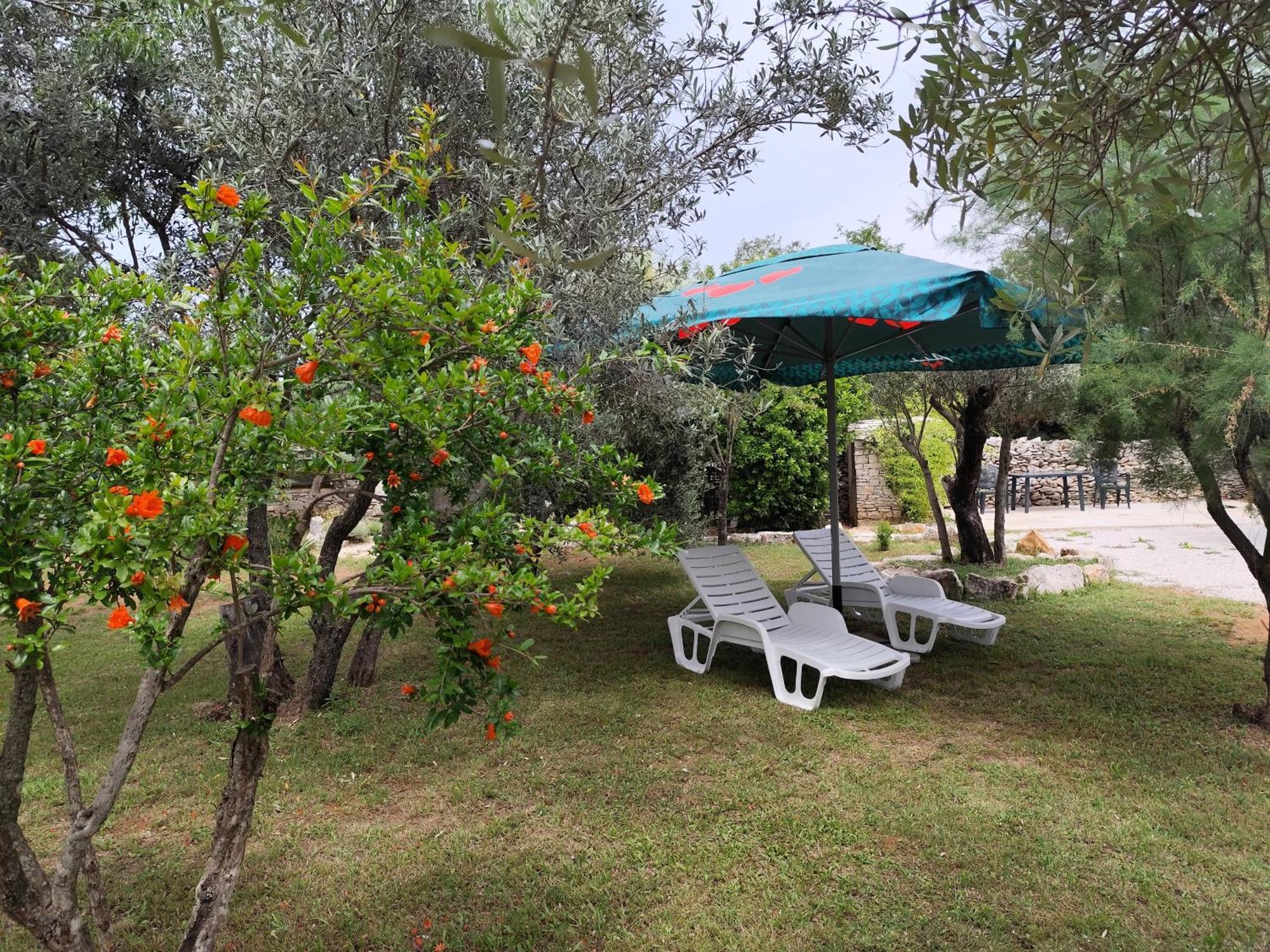 Marti'S House In The Olive Grove Fažana Exterior foto