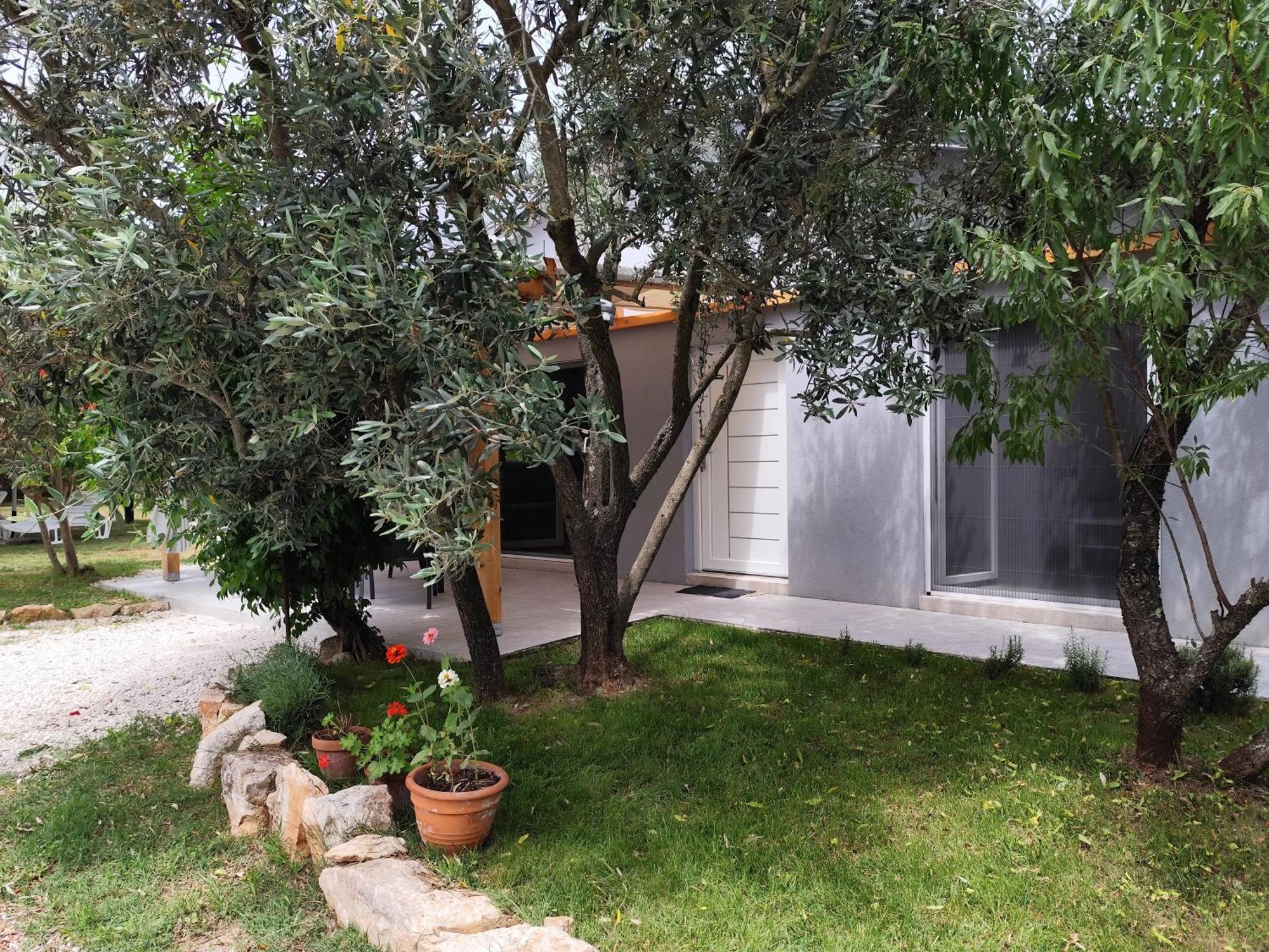 Marti'S House In The Olive Grove Fažana Exterior foto